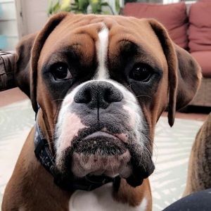 Meet your Posher, Kelsey